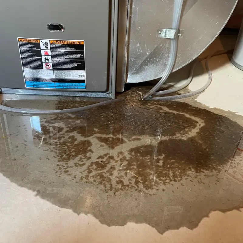 Appliance Leak Cleanup in Fincastle, TN